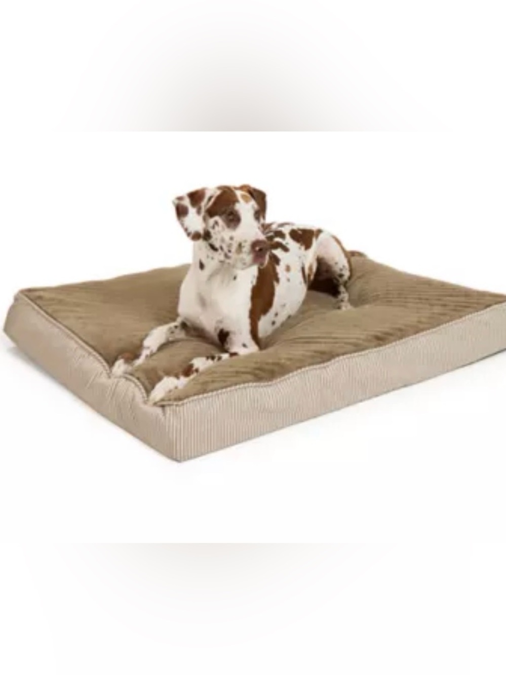 Top Paw® Orthopedic Mattress Dog Bed, Brown/Grey/Tan, size 48Lx38